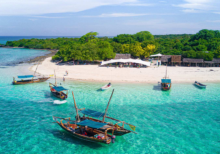 Safari Blue Tour | snorkeling with Sea Food Lunch