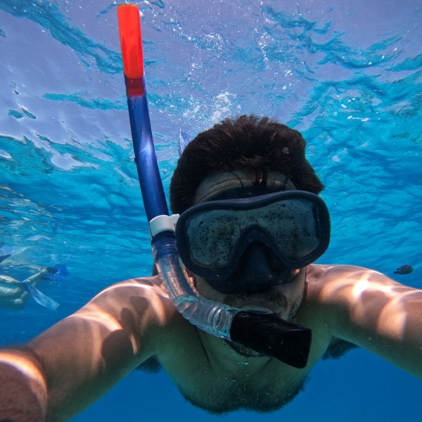 Dolphin Tour, Snorkeling and BBQ Lunch